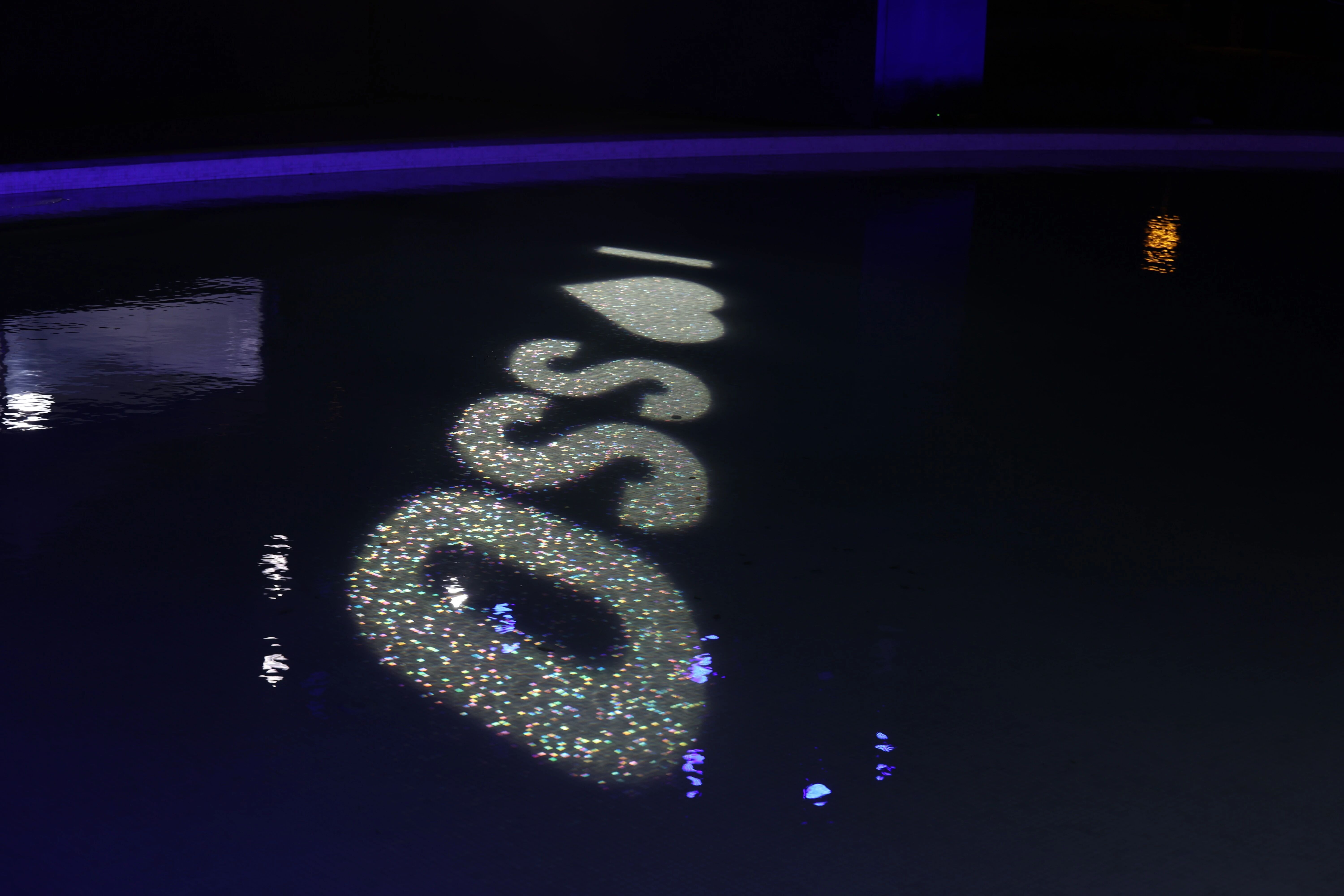 领帆而上 2026上海帆船公开赛扬帆开赛.jpg