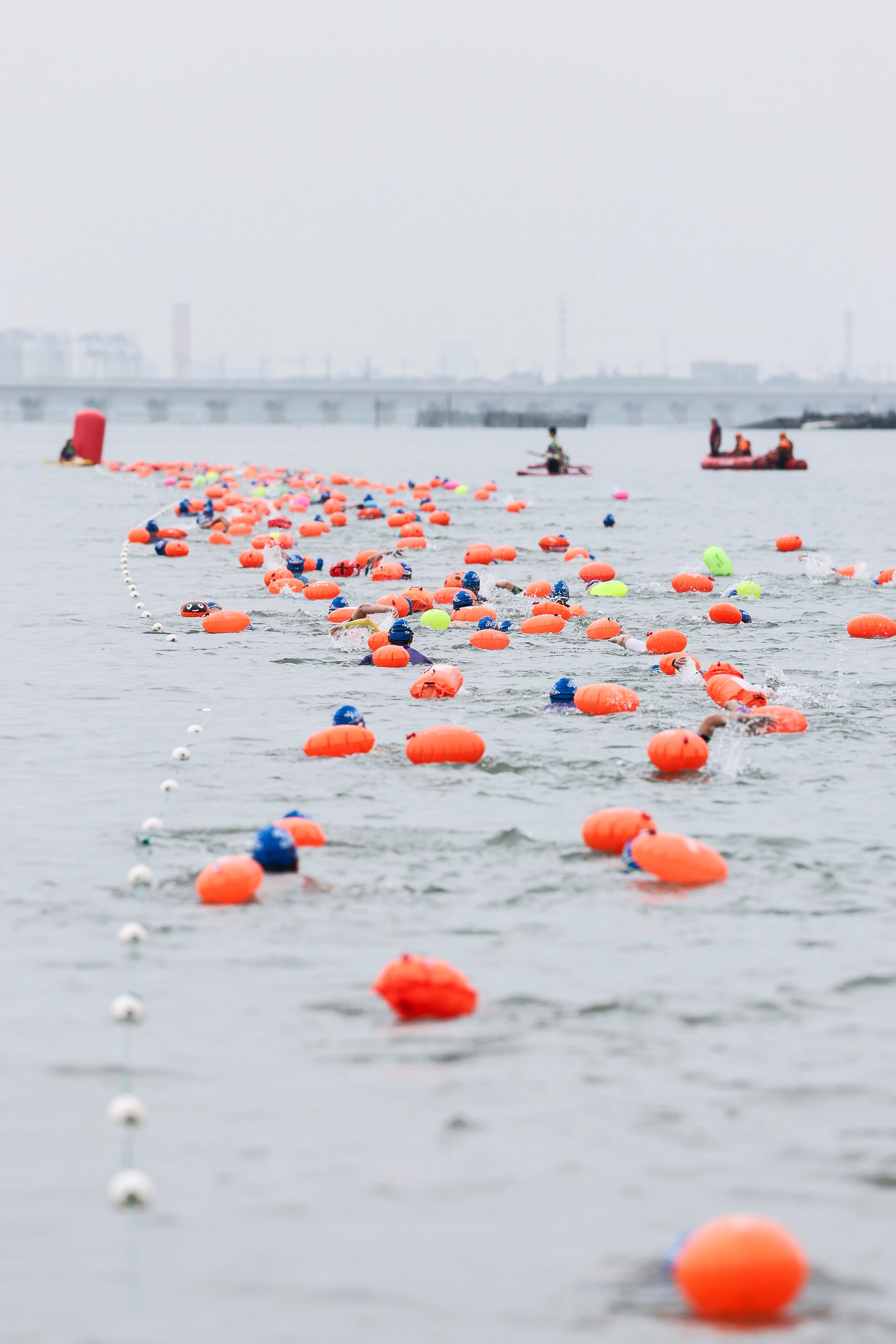 2025年长三角国际铁人三项赛掀开区域一体化发展新篇章 (8).jpg